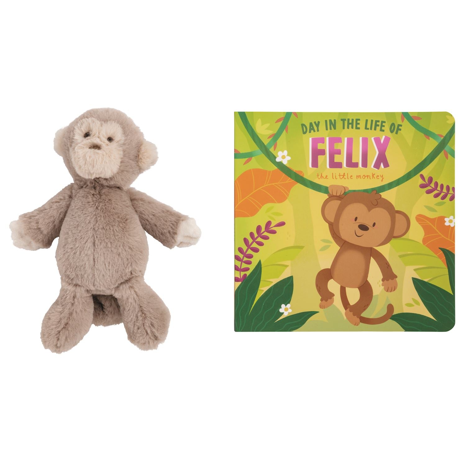 Day In The Life Of Felix The Monkey Book – Lollipop Lane