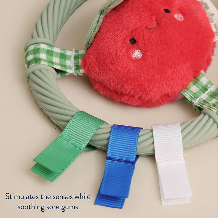 *NEW* Itzy Ring Pal™ - Teething Ring with Plush Character