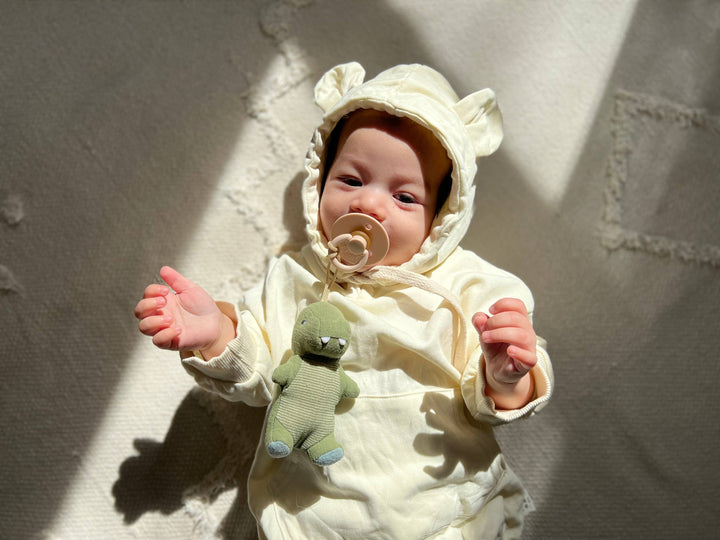 Bitzy Pal Natural Rubber Pacifier & Plush
