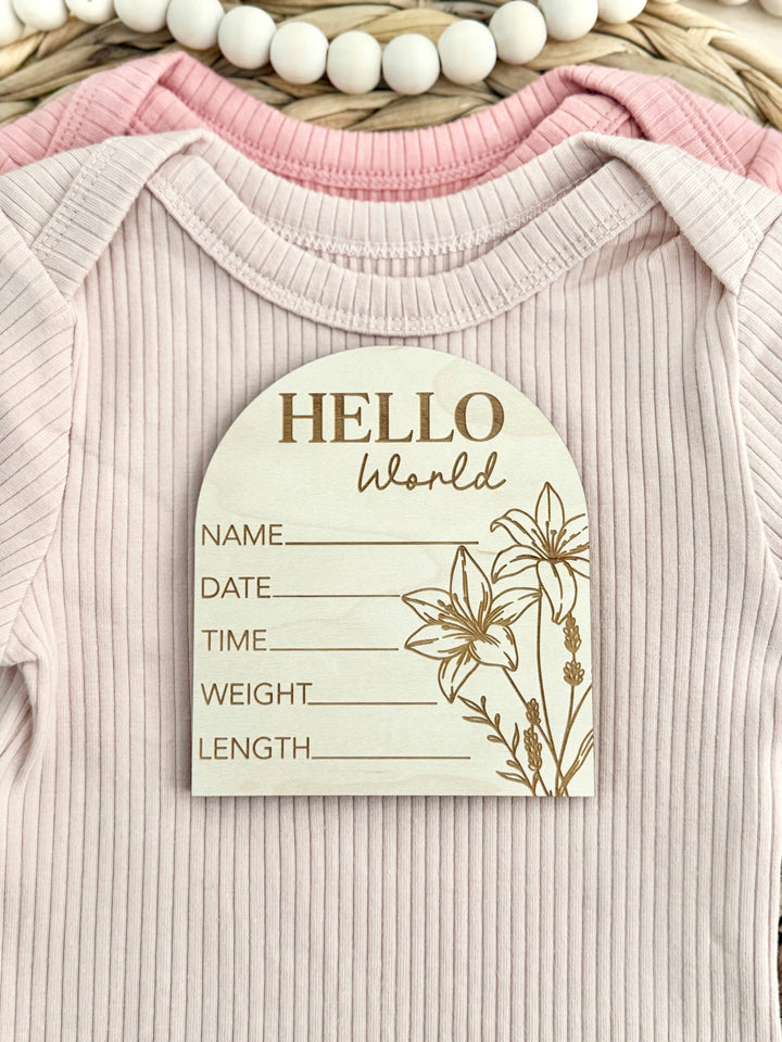 Baby Gift - Baby Stat Announcement Disc