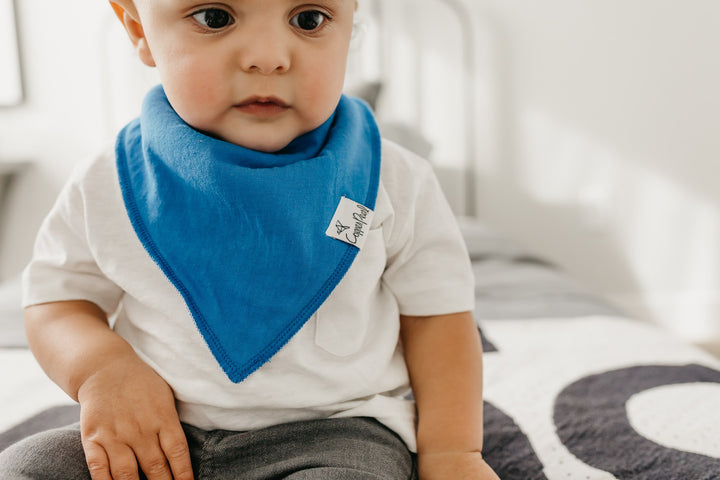 Nash Baby Bandana Bib Set (4-pack)