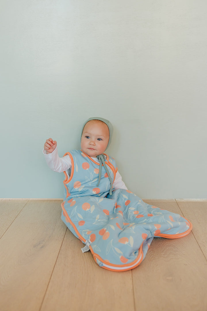 Clementine Sleep Bag 12-18mo